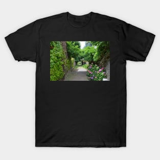 Alley lined with flowers T-Shirt